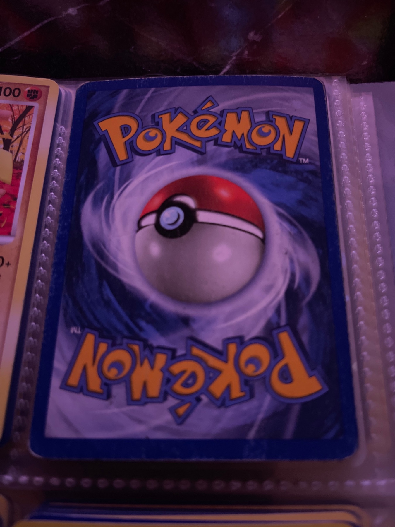 Card back