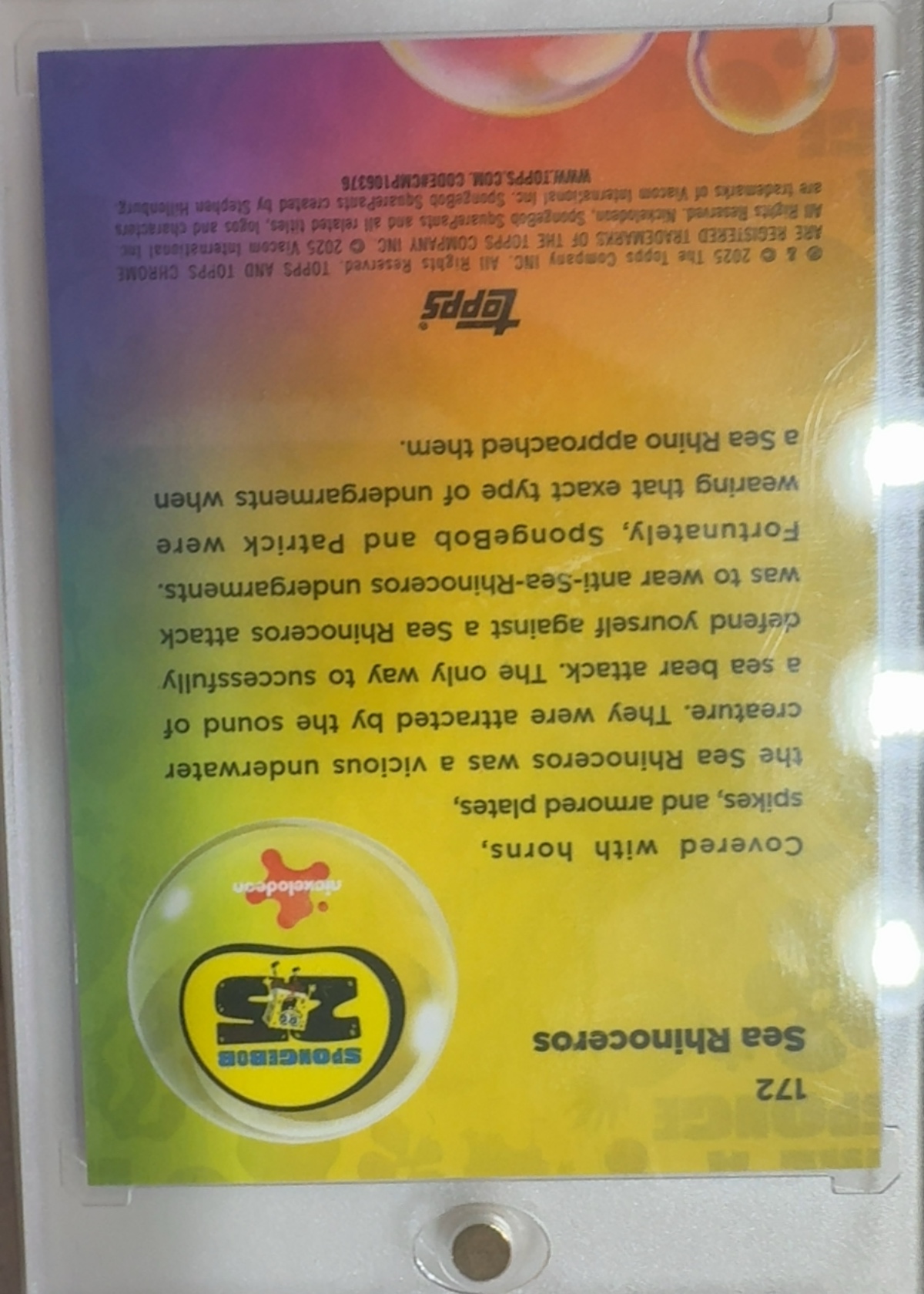 Card back