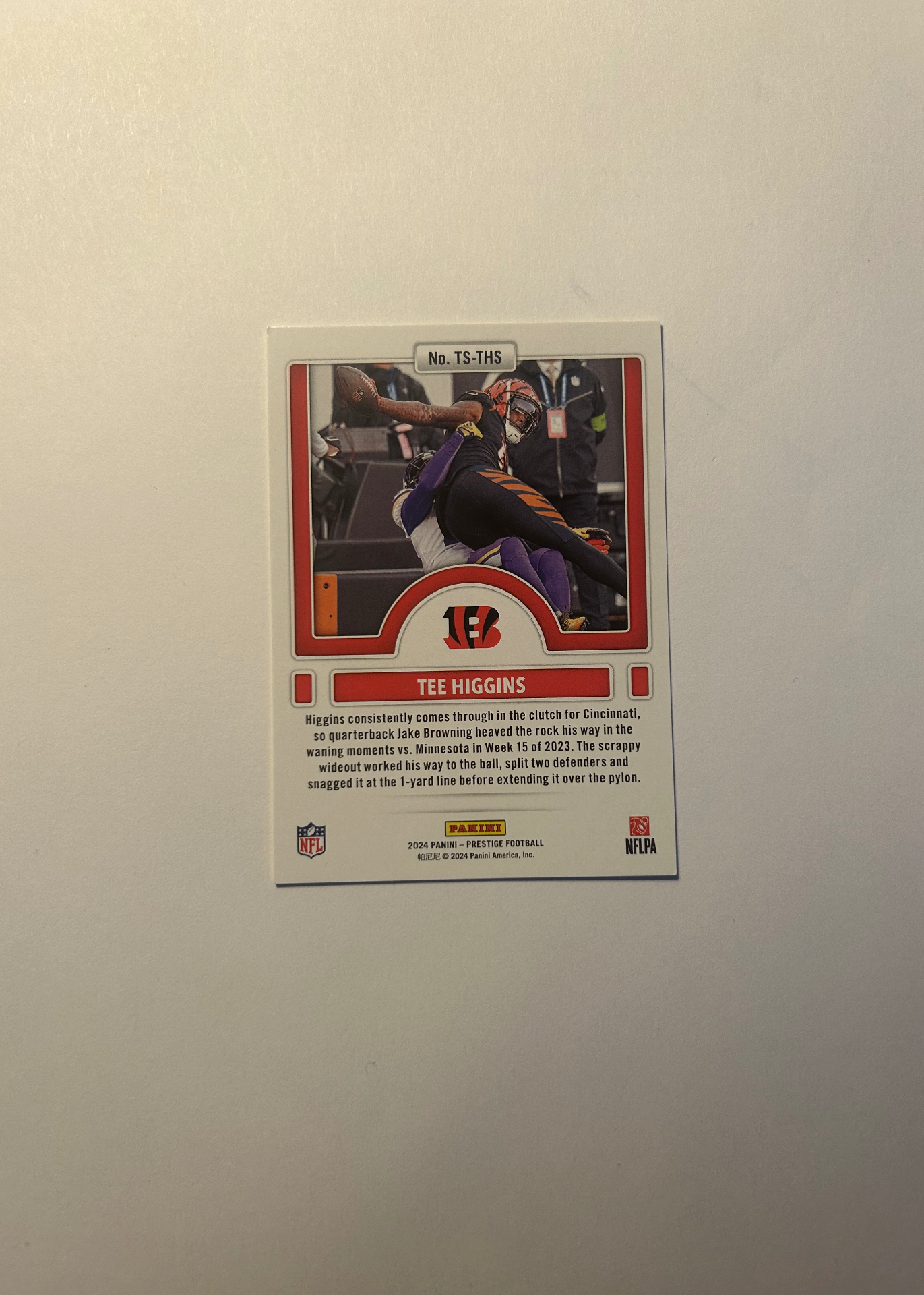 Card back