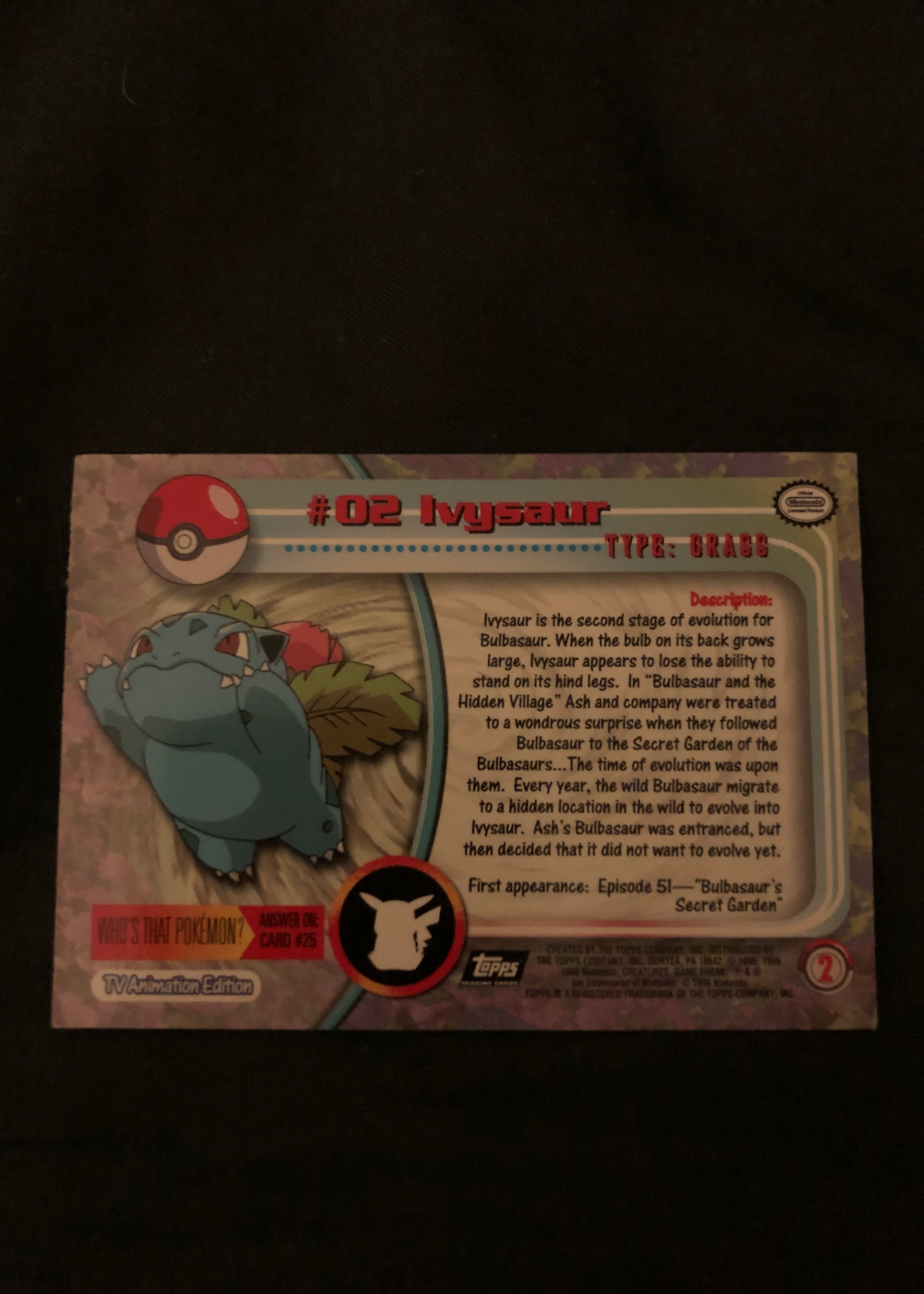 Card back